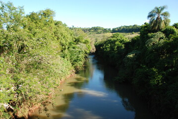 Fototapeta na wymiar area fluvial de rio com vegeração dos lados 
