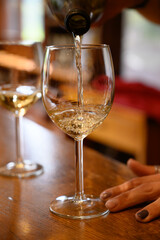 Tasting of variety of Spanish rioja wines, visit of winery cellars, Rioja wine making region, Spain