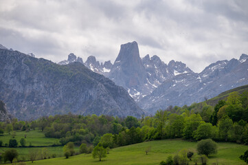 Obraz premium View on Naranjo de Bulnes or Picu Urriellu, limestone peak dating from Paleozoic Era, located in Macizo Central region of Picos de Europa, mountain range in Asturias, Spain