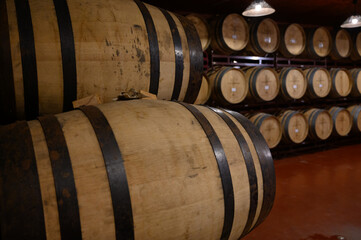 Production of fortified jerez, xeres, sherry wines in dark oak barrels in sherry triangle, Jerez la Frontera, El Puerto Santa Maria and Sanlucar Barrameda Andalusia, Spain