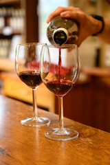 Tasting of variety of Spanish rioja wines, visit of winery cellars, Rioja wine making region, Spain