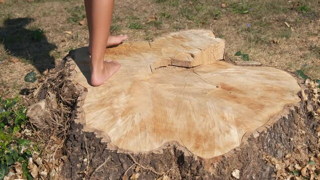 Child relax on stump in wood. A view of girl bare legs stand in the sun rays on the wooden stump in the summer park.