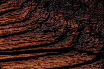 Texture of old wood close-up. Can be used as a background.