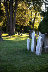 Headstones in a cemetery with Sunlit Background