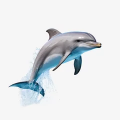 Zelfklevend Fotobehang dolphin isolated on white background © Riccardo