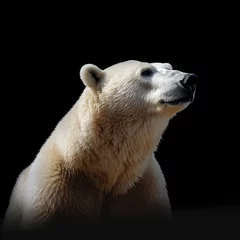 Foto op Plexiglas polar bear isolated in a black background © Riccardo