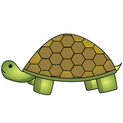 turtle