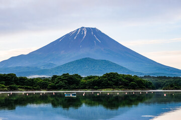Fototapeta premium 夜明け前の精進湖・富士山