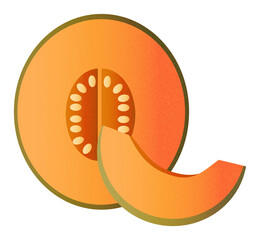 Zestaw ilustracji owoców melon | Owoce Fruit wector set illustration Fruits Icons