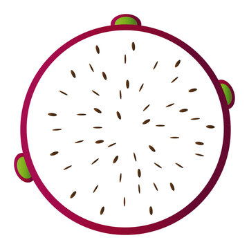 Zestaw ilustracji owoc&oacute;w pitaja | Owoce wector set illustration Fruits Icons dragon fruit