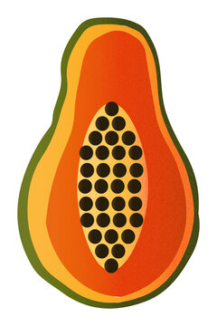 Zestaw ilustracji owoc&oacute;w papaja | Owoce Fruit wector set illustration Fruits Icons Papaya