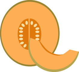 Zestaw ilustracji owoców melon | Owoce Fruit wector set illustration Fruits Icons