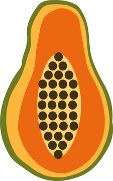 Zestaw ilustracji owoc&oacute;w papaja | Owoce Fruit wector set illustration Fruits Icons Papaya