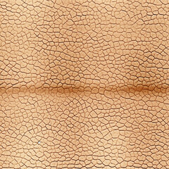 beige leather texture