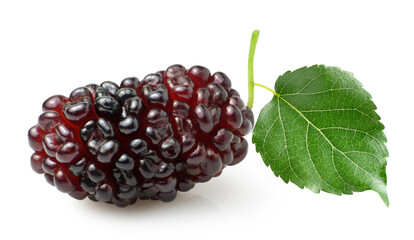 Mulberry fruit with green leaf isolated on white background