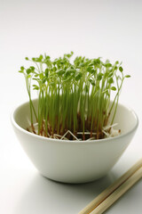 The bean sprouts in the bowl.