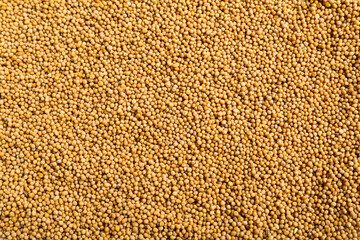 Aromatic mustard seeds as background, top view