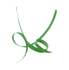 Fototapeta premium Beautiful and fresh green leaves of Hymenocalis littoralis plants for transparent png