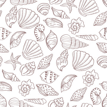 seamless pattern with sea shells