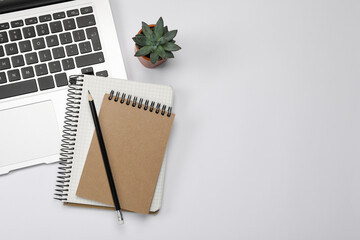 Modern laptop, houseplant, notebooks and pencil on white background, flat lay. Space for text