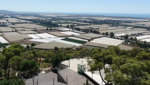 A view of the western part of the Ofer forest towards the southwest.