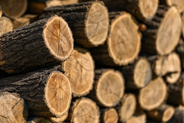 Stacks of wood on each other.