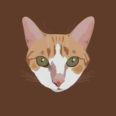 Detailed Brown Cat vector illustration in front view isolated