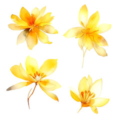 Obraz premium Set of yellow gold floral watecolor. flowers and leaves. Floral poster, invitation floral. Vector arrangements for greeting card or invitation design 
