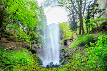 春の棚下不動滝　群馬県渋川市　Tanashita Fudo Falls in Spring. Gunma Pref, Shibukawa city.