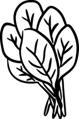 Vegetables Mushroom Bean Onion