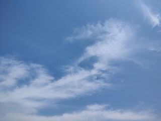 Fototapeta premium 東京のそら(23.6.8) 