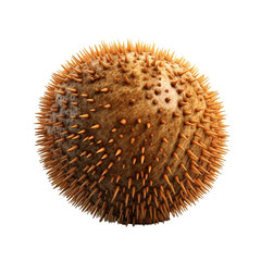 Sea Urchin Generative AI