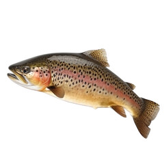 Fototapeta premium Trout Generative AI