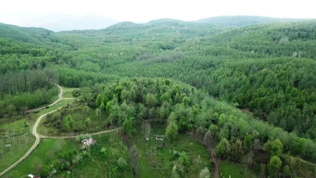 Old forest landing in beautiful scenic nature of Iran Arabian people love to travel trip to wild nature with wide view of Mazandaran Gilan nature to hiking tourism activity outdoor plan local food 