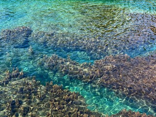 Naklejka na ściany i meble Sea transparent water with seaweed aerial view..