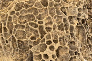 Tafoni and tilted layers of sandstone that formed deep below the sea, 40–60 MY, Salt Point State Park, CA, USA