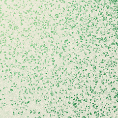 Abstract geometric background. Astonishing scattered low poly triangles with colored gradient. Superb vector illustration.