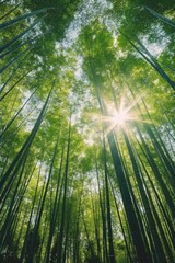 Fototapeta na wymiar Gazing Up at the Majestic Arashiyama Bamboo Grove Generative AI Digital Illustration Part#060623 
