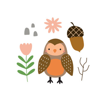 Vector illustration with a cute owl surrounded by forest elements on a white background for your design