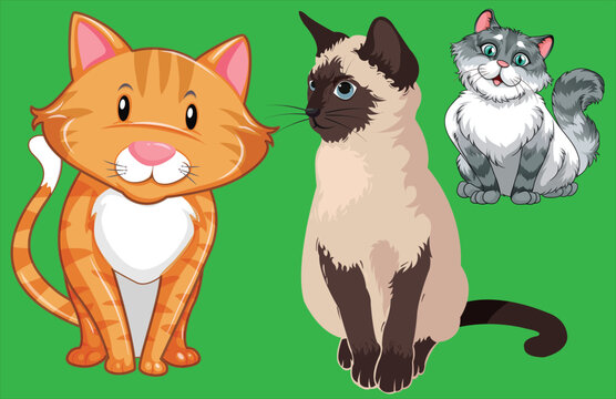 Cute cat cartoon set. Vector illustration for design. Pro Vector Set of cute cats of different breeds in flat cartoon style