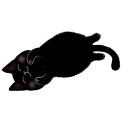 Relaxed cute black cat with smiley face. Happy black cat. Fluffy black cat is sleeping.