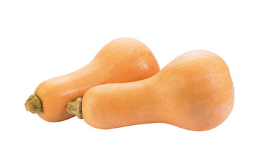 butternut squash isolated on transparent png