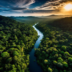 The amazonas river