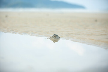 cigarette on the beach