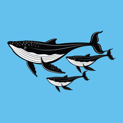 Whale vector illustration. Black and white whale on blue background.