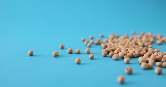 Surface of soybeans closeup on blue background. Dried peas calories useful properties