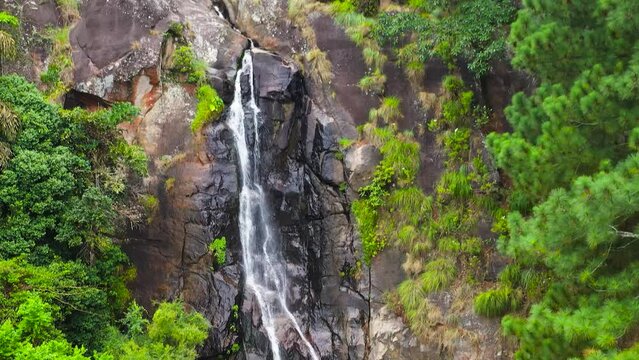 A beautiful waterfall among the rainforest and vegetation. Bambarakanda Falls. Sri Lanka.