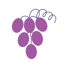 Grape Vector Illustration