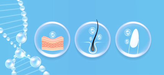 Hyaluronic acid skin hair nails solutions ad, blue collagen serum drop with cosmetic advertising background ready to use, illustration vector.