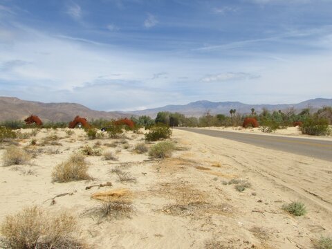 Desert near Galleta Meadows in Borrego Springs California